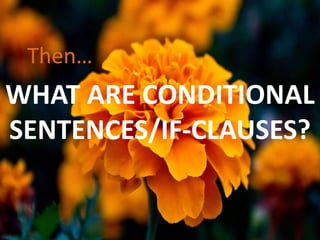Then…

WHAT ARE CONDITIONAL
SENTENCES/IF-CLAUSES?

 