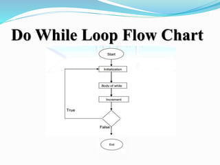 Conditional statements & Loops | PPT