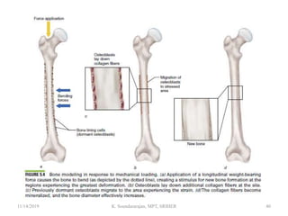11/14/2019 K. Soundararajan, MPT, SRIHER 40
 