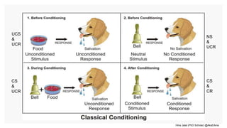 Hina Jalal (PhD Scholar) @AksEAina
UCS
&
UCR
CS
&
UCR
NS
&
UCR
CS
&
CR
 
