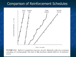 Comparison of Reinforcement Schedules   