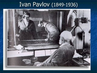 Ivan Pavlov  (1849-1936) 
