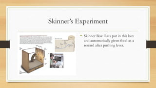 Skinner’s Experiment
• Skinner Box: Rats put in this box
and automatically given food as a
reward after pushing lever.
 