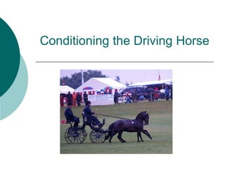 Conditioning the Driving Horse
 