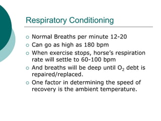 Respiratory Conditioning
   Normal Breaths per minute 12-20
   Can go as high as 180 bpm
   When exercise stops, horse’s respiration
    rate will settle to 60-100 bpm
   And breaths will be deep until O2 debt is
    repaired/replaced.
   One factor in determining the speed of
    recovery is the ambient temperature.
 