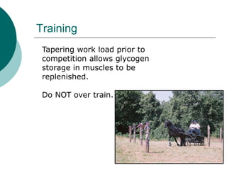 Training
 Tapering work load prior to
 competition allows glycogen
 storage in muscles to be
 replenished.

 Do NOT over train.
 