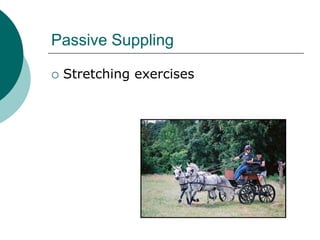 Passive Suppling

   Stretching exercises
 