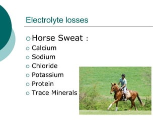 Electrolyte losses

 Horse     Sweat :
   Calcium
   Sodium
   Chloride
   Potassium
   Protein
   Trace Minerals
 