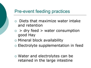 Pre-event feeding practices

    Diets that maximize water intake
    and retention
    > dry feed > water consumption
    good Hay
   Mineral block availability
   Electrolyte supplementation in feed

   Water and electrolytes can be
    retained in the large intestine
 