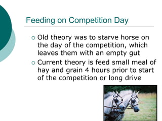 Feeding on Competition Day

    Old theory was to starve horse on
     the day of the competition, which
     leaves them with an empty gut
    Current theory is feed small meal of
     hay and grain 4 hours prior to start
     of the competition or long drive
 