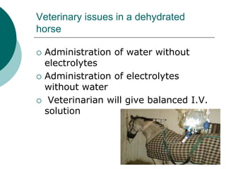 Veterinary issues in a dehydrated
horse

   Administration of water without
    electrolytes
   Administration of electrolytes
    without water
    Veterinarian will give balanced I.V.
    solution
 