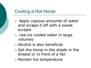 Cooling a Hot Horse

    Apply copious amounts of water
    and scrape it off with a sweat
    scraper
    Use ice cooled water in large
    volumes
   Alcohol is also beneficial
   Get the horse in the shade in the
    breeze or in front of a fan
   Monitor his temperature
 