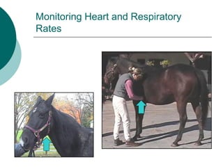 Monitoring Heart and Respiratory
Rates
 