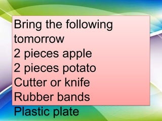 Bring the following
tomorrow
2 pieces apple
2 pieces potato
Cutter or knife
Rubber bands
Plastic plate
 