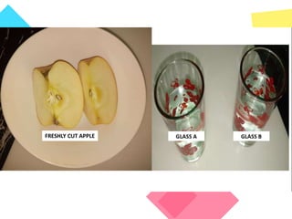 P.15
FRESHLY CUT APPLE
 