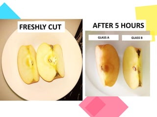 FRESHLY CUT AFTER 5 HOURS
GLASS A GLASS B
 