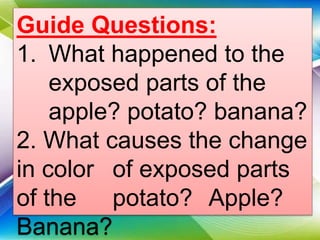 Guide Questions:
1. What happened to the
exposed parts of the
apple? potato? banana?
2. What causes the change
in color of exposed parts
of the potato? Apple?
Banana?
 
