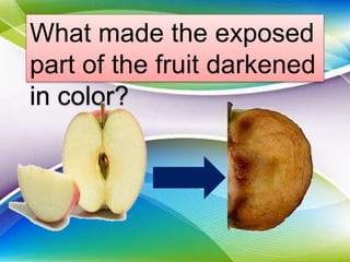 What made the exposed
part of the fruit darkened
in color?
 