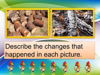 Describe the changes that
happened in each picture.
 
