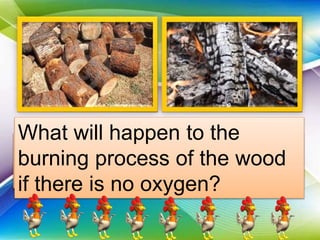 Describe the changes
happened in each picture.
What changes will take place
when you chop a wood?
What changes will take place
when you burn the wood?
What will happen to the
burning process of the wood
if there is no oxygen?
 