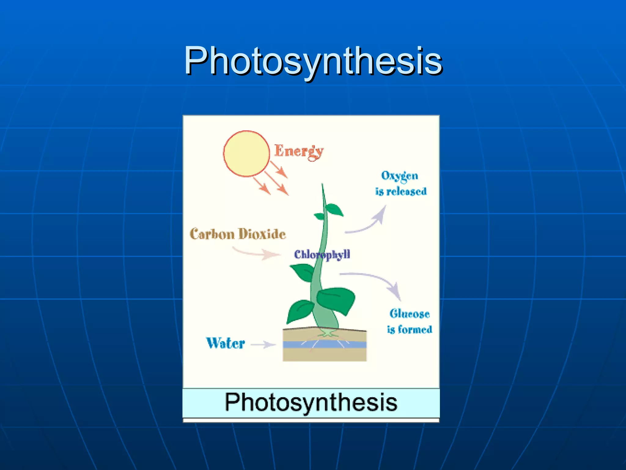 4-conditions-for-life-on-earth-ppt
