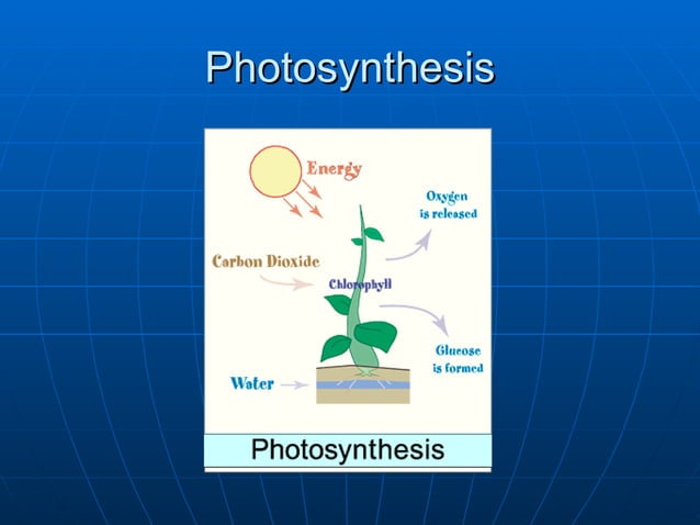 4-conditions-for-life-on-earth-ppt
