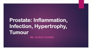 Prostate: Inflammation,
Infection, Hypertrophy,
Tumour
MS. ALISHA TALWAR
 