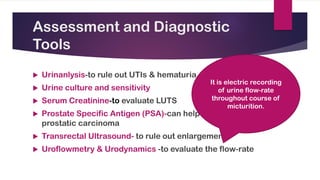 Assessment and Diagnostic
Tools
 Cystourethoscopy- to visualise the prostatic urethera
and bladder.
 Complete blood stud...