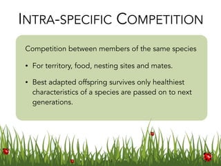 14
INTRA-SPECIFIC COMPETITION
Competition︎ between members of the same species
• For territory, food, nesting sites and mates.
• Best adapted offspring survives only healthiest
characteristics of a species are passed on to next
generations.  
 