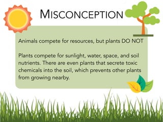 Animals compete for resources, but plants DO NOT
Plants compete for sunlight, water, space, and soil
nutrients. There are even plants that secrete toxic
chemicals into the soil, which prevents other plants
from growing nearby.
MISCONCEPTION
15
 
