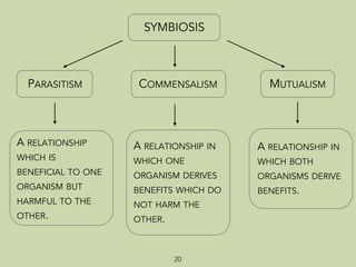SYMBIOSIS
PARASITISM COMMENSALISM MUTUALISM
A RELATIONSHIP
WHICH IS
BENEFICIAL TO ONE
ORGANISM BUT
HARMFUL TO THE
OTHER.
A RELATIONSHIP IN
WHICH ONE
ORGANISM DERIVES
BENEFITS WHICH DO
NOT HARM THE
OTHER.
A RELATIONSHIP IN
WHICH BOTH
ORGANISMS DERIVE
BENEFITS.
20
 