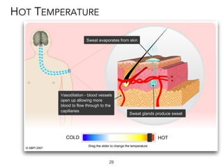 28
HOT TEMPERATURE
 