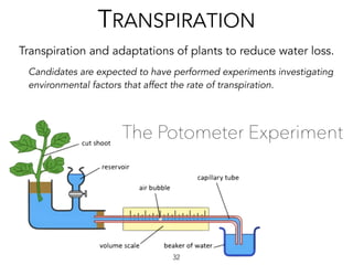 Transpiration and adaptations of plants to reduce water loss.
TRANSPIRATION
Candidates are expected to have performed experiments investigating
environmental factors that affect the rate of transpiration.
32
The Potometer Experiment
 