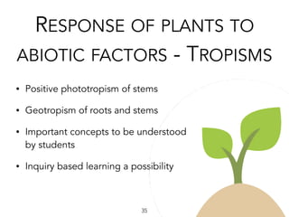 RESPONSE OF PLANTS TO
ABIOTIC FACTORS - TROPISMS
• Positive phototropism of stems
• Geotropism of roots and stems
• Important concepts to be understood
by students
• Inquiry based learning a possibility
35
 
