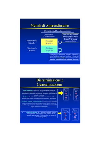Metodi di Apprendimento
Rinforzo
Positivo
Rinforzo
Negativo
Obbiettivo del Condizionamento
Aumentare il
Comportamento
Presentare lo
Stimolo
Eliminare lo
Stimolo
Ogni volta che entriamo in macchina sentiamo un
suono fastidioso. Appena ci mettiamo la cintura di
sicurezza il suono scompare. Impariamo a mettere
sempre la cintura per evitare lo stimolo spiacevole
Ogni volta che il bambino
mangia senza fare capricci
i genitori gli permettono
di vedere il suo cartone
animato preferito.
Discriminazione e
Generalizzazione
Suono
SI
Leva
cibo
Suono
NO
Leva
X
Suono
campanella
Leva
cibo
Suono
fischietto
Leva
cibo
≠
=
Discriminazione :Discriminazione :Addestrare un animale a discriminare la
presenza/assenzapresenza/assenza di un certo stimolo (es. un suono, tasto
illuminato), in modo tale da rinforzare la risposta solo quando lo
stimolo è presente
Variante:Variante: gli animali sono addestrati a discriminare tra due
stimoli molto simili, rinforzando selettivamente la sua risposta
Psicofisica animale, scopi normativiPsicofisica animale, scopi normativi: l’animale viene addestrato
a discriminare differenze sempre più piccole (suono-colore). E’
possibile in questo modo determinare i limiti della sua sensibilità
(soglia assoluta e differenziale)
GeneralizzazioneGeneralizzazione: se l’animale risponde quando
sono presenti stimoli simili allo stimolo che in
passato ha preceduto il rinforzo (es: un suono di
diversa frequenza)
 