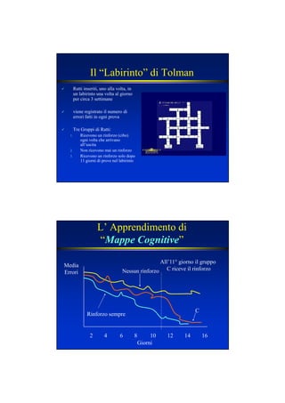 Il “Labirinto” di Tolman
Ratti inseriti, uno alla volta, in
un labirinto una volta al giorno
per circa 3 settimane
viene registrato il numero di
errori fatti in ogni prova
Tre Gruppi di Ratti:
1. Ricevono un rinforzo (cibo)
ogni volta che arrivano
all’uscita
2. Non ricevono mai un rinforzo
3. Ricevono un rinforzo solo dopo
11 giorni di prove nel labirinto
L’ Apprendimento di
“Mappe CognitiveMappe Cognitive”
2 4 6 10 12 14 168
Giorni
Media
Errori
Rinforzo sempre
Nessun rinforzo
C
All’11° giorno il gruppo
C riceve il rinforzo
 