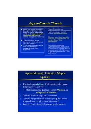 Apprendimento “latente
Il topo ogni giorno migliorava
il suo apprendimento perché
secondo Tolman apprendeva
una sorta di mappa cognitiva
o immagine mentale del
labirinto (nozione mentalistica)
Questo ha luogo anche
quando non viene dato alcun
rinforzo (Gruppo C)
L’ apprendimento c’era anche
se la sua prestazione
‘apparentemente’ non
migliorava
l’apprendimento non era
semplicemente stato reso visibile fino
a quel momento, per questo fu
chiamato apprendimento latente
Il fatto che non ci siano modifiche
sostanziali nel comportamento non
vuol dire che non ci sia
apprendimento
Distinzione importante tra
l’apprendimento e la prestazione di
un organismo (es. esercizio sportivo)
Esame universitario fa riferimento
all’apprendimento manifesto e non a
quello latente!
Apprendimento Latente e Mappe
Spaziali
L’animale può elaborareelaborare l’informazione che riceve
(linguaggio “cognitivo”)
Studi successivi a quelli di Tolman: Menzel e gli
scimpanzé ‘osservatori’:
1. Trovava più frutti degli altri scimpanzé
2. Trovava per primi quelli preferiti (indip dall’ordine
temporale con cui gli erano stati mostrati)
3. Percorreva vie dirette e diverse da quelle mostrate
 