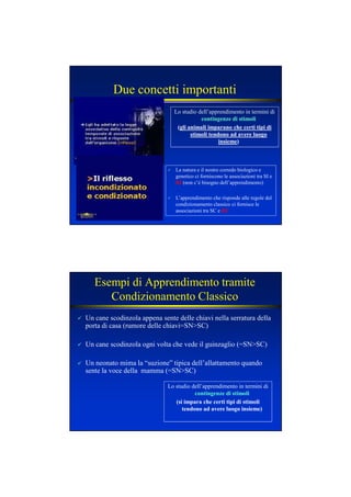 Due concetti importanti
Lo studio dell’apprendimento in termini di
contingenze di stimolicontingenze di stimoli
((gli animali imparano che certi tipi digli animali imparano che certi tipi di
stimoli tendono ad avere luogostimoli tendono ad avere luogo
insiemeinsieme))
La natura e il nostro corredo biologico e
genetico ci forniscono le associazioni tra SI e
RI (non c’è bisogno dell’apprendimento)
L’apprendimento che risponde alle regole del
condizionamento classico ci fornisce le
associazioni tra SC e RC
Esempi di Apprendimento tramite
Condizionamento Classico
Un cane scodinzola appena sente delle chiavi nella serratura della
porta di casa (rumore delle chiavi=SN>SC)
Un cane scodinzola ogni volta che vede il guinzaglio (=SN>SC)
Un neonato mima la “suzione” tipica dell’allattamento quando
sente la voce della mamma (=SN>SC)
Lo studio dell’apprendimento in termini di
contingenze di stimolicontingenze di stimoli
(si impara che certi tipi di stimoli(si impara che certi tipi di stimoli
tendono ad avere luogo insieme)tendono ad avere luogo insieme)
 