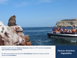 Paracas: Atractivos 
Inigualables 
Paracas cuenta con una Reserva Nacional creada en 1975, teniendo la primera 
área marítima protegida del Perú. 
En ella se encuentran las famosas Islas Ballestas desde las cuales se puede 
observar El Candelabro. 
 