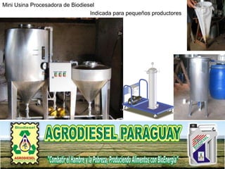 Mini Usina Procesadora de Biodiesel Indicada para pequeños productores 