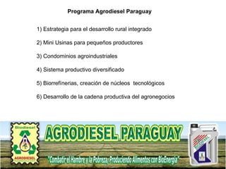 Programa Agrodiesel Paraguay 1) Estrategia para el desarrollo rural integrado 2) Mini Usinas para pequeños productores 3) Condominios agroindustriales 4) Sistema productivo diversificado 5) Biorrefínerias, creación de núcleos  tecnológicos 6) Desarrollo de la cadena productiva del agronegocios 