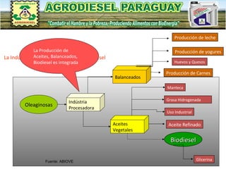 La Industria de Aceites Vegetales y Biodiesel Oleaginosas Indústria Procesadora Aceites Vegetales Balanceados Producción de Carnes Uso Industrial Aceite Refinado Grasa Hidrogenada Manteca La Producción de Aceites, Balanceados, Biodiesel es integrada Producción de leche Producción de yogures Huevos y Quesos Fuente: ABIOVE Glicerina Biodiesel 