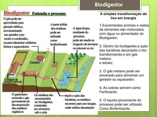 1.Excrementos animais e restos
de alimentos são misturados
com água no alimentador do
Biodigestor;
2. Dentro do biodigestor,a ação
das bactérias decompõe o lixo
transformando-o em gás
metano
e adubo;
3. O gás metano pode ser
encanado para alimentar um
gerador ou aquecedor;
4. As sobras servem como
Fertilizante;
5. O liquido proveniente do
processo pode ser utilizado
Como Bioferilizante.
A simples transformação de
lixo em energia
Biodigestor
 