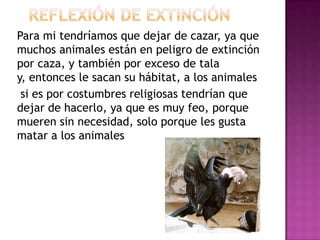 Para mi tendríamos que dejar de cazar, ya que
muchos animales están en peligro de extinción
por caza, y también por exceso de tala
y, entonces le sacan su hábitat, a los animales
 si es por costumbres religiosas tendrían que
dejar de hacerlo, ya que es muy feo, porque
mueren sin necesidad, solo porque les gusta
matar a los animales
 