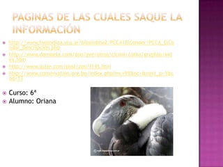    http://www.bioandina.org.ar/bioandina2/PCCA/ElCondor/PCCA_ElCo
    ndor_Descripcion.php
   http://www.damisela.com/zoo/ave/otros/ciconi/catha/gryphus/ind
    ex.htm
   http://www.guije.com/post/zoo/f145.htm
   http://www.conservation.org.bo/index.php?mc=95&nc=&next_p=1&c
    od=13

   Curso: 6ª
   Alumno: Oriana
 