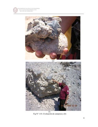 UNIVERSIDAD NACIONAL DE INGENIERÍA
FACULTAD DE INGENIERÍA CIVIL
SECCIÓN DE POSGRADO
_________________________________________________________________________
8
(a)
(b)
Fig N° 1.01: Evaluación de campo(a) y (b)
 