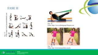 FASE II
Fig.:17
Fonte:https://www.nosinmislabiales.com
Fig.: 18
Fonte: https://www.rafaelagurgel.blogsot.com
Fig.: 19
Fonte: http://www.bomeserfeliz.com.br
 