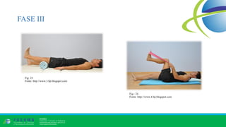 FASE III
Fig: 23
Fonte: http://www.3.bp.blogspot.com
Fig.: 24
Fonte: http://www.4.bp.blogspot.com
 