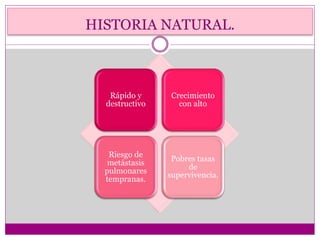HISTORIA NATURAL.
Rápido y
destructivo
Crecimiento
con alto
Riesgo de
metástasis
pulmonares
tempranas.
Pobres tasas
de
supervivencia.
 
