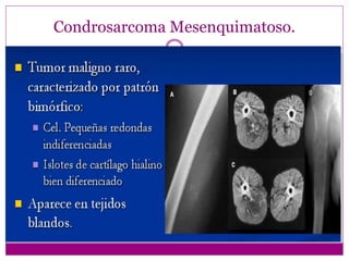 Condrosarcoma Mesenquimatoso.
 